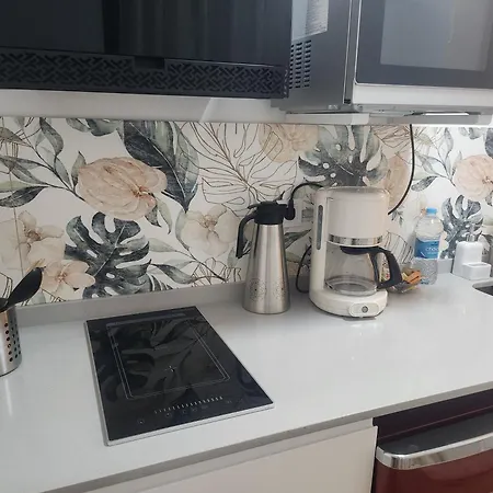 Homestay Emely Despacho Loft Port Valencia